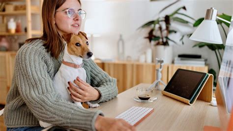 What To Expect From an Online Veterinarian Appointment.